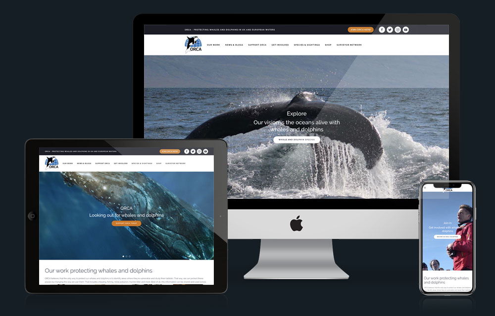 ORCA Protecting Whales and Dolphins